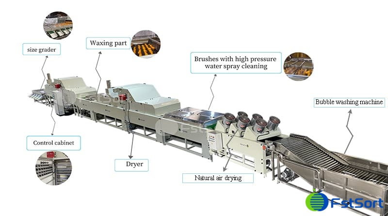 images/1661844486777citrus grading sorting machine.jpg